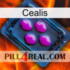 Cealis 04